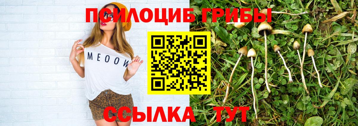 Алапаевск  Галлюциногенные грибы Psilocybine cubensis  Галлюциногенные грибы Magic Shrooms  Вход с VPN 