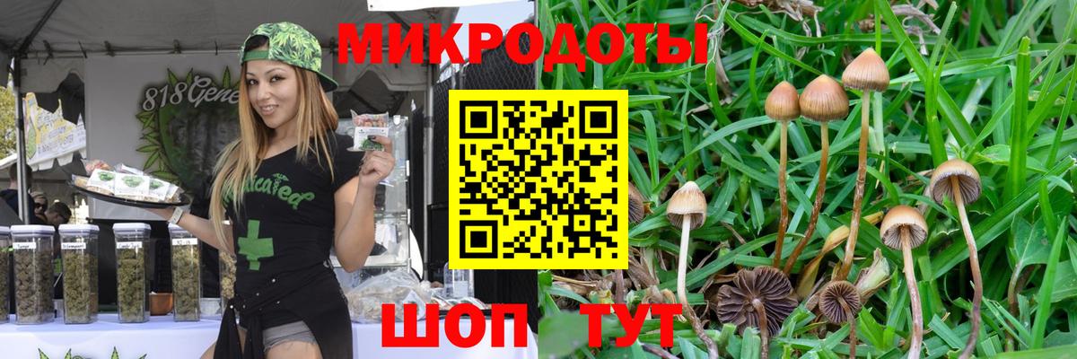 Псилоцибиновые грибы ЛСД Алапаевск